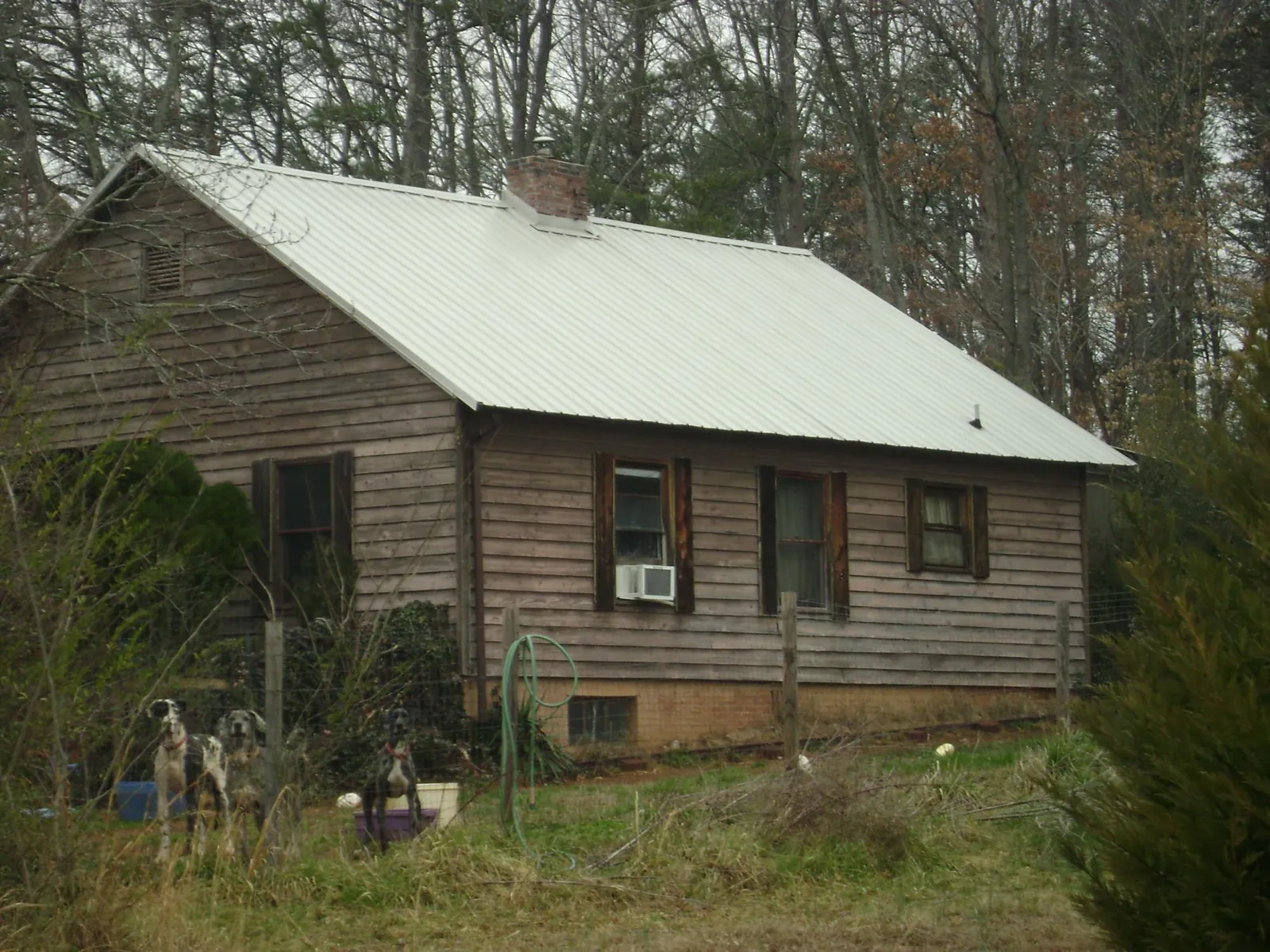 White metal roof on an old wood sided farmhouse, from a Metal Roof Installation job in East Falmouth